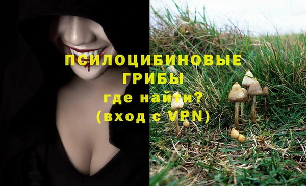 альфа пвп Бугульма