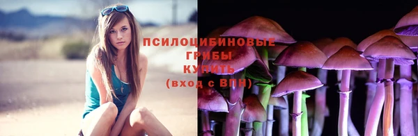 MDMA Бородино