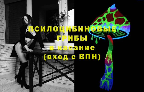 MDMA Бородино