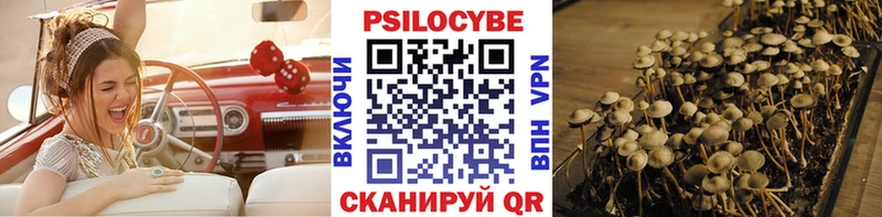 Псилоцибиновые грибы мухоморы Купить закладки Вихоревка